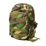 Cactus Jack Medium 603 Backpack