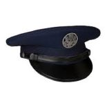 GI Air Force Dress Cap